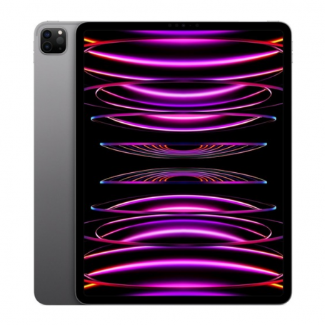 iPad Pro 12.9" (6e génération) 128 Go WiFi - Apple M2 - Gris - Neuf